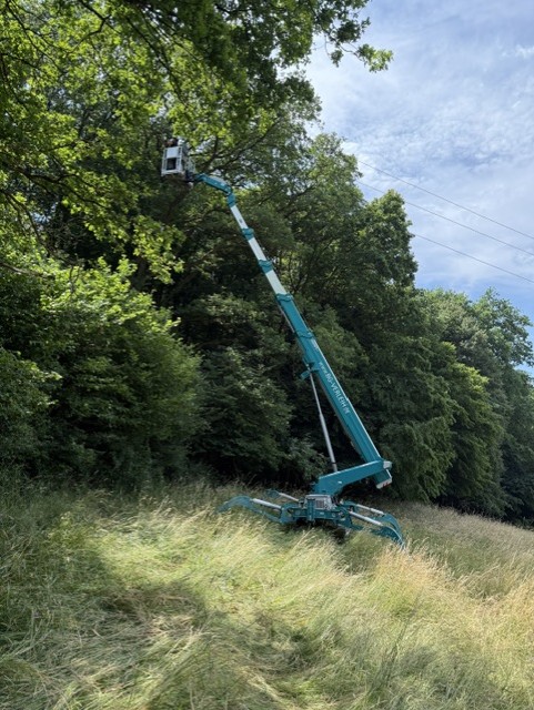 Teupen Leo 30T Plus