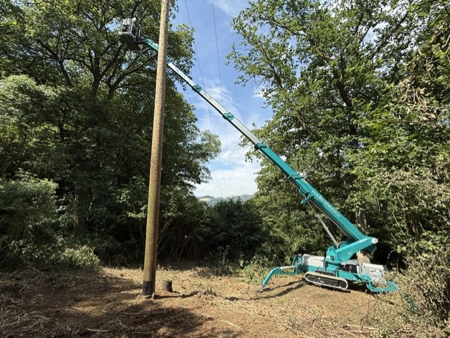 Teupen Leo 30T Plus